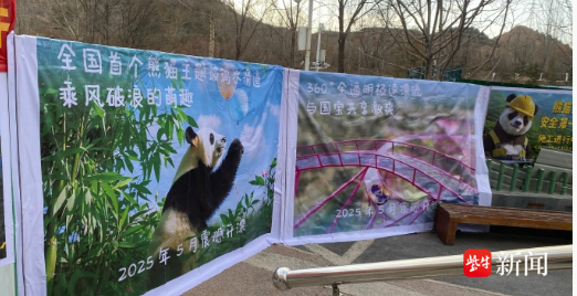 兴业策略 紫牛热点︱熊猫馆旁修建水滑道引发噪音争议！馆方：暂未对外开放，评估正在进行中